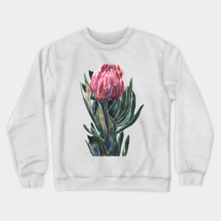 flower protea, watercolor picture Crewneck Sweatshirt